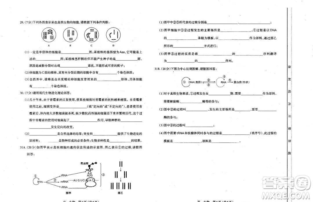 太原市2020-2021學(xué)年第二學(xué)期高一年級(jí)期末考試生物試卷及答案