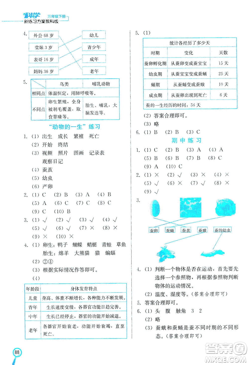 河北美術(shù)出版社2021新練習(xí)方案科學(xué)三年級(jí)下冊JK教科版答案