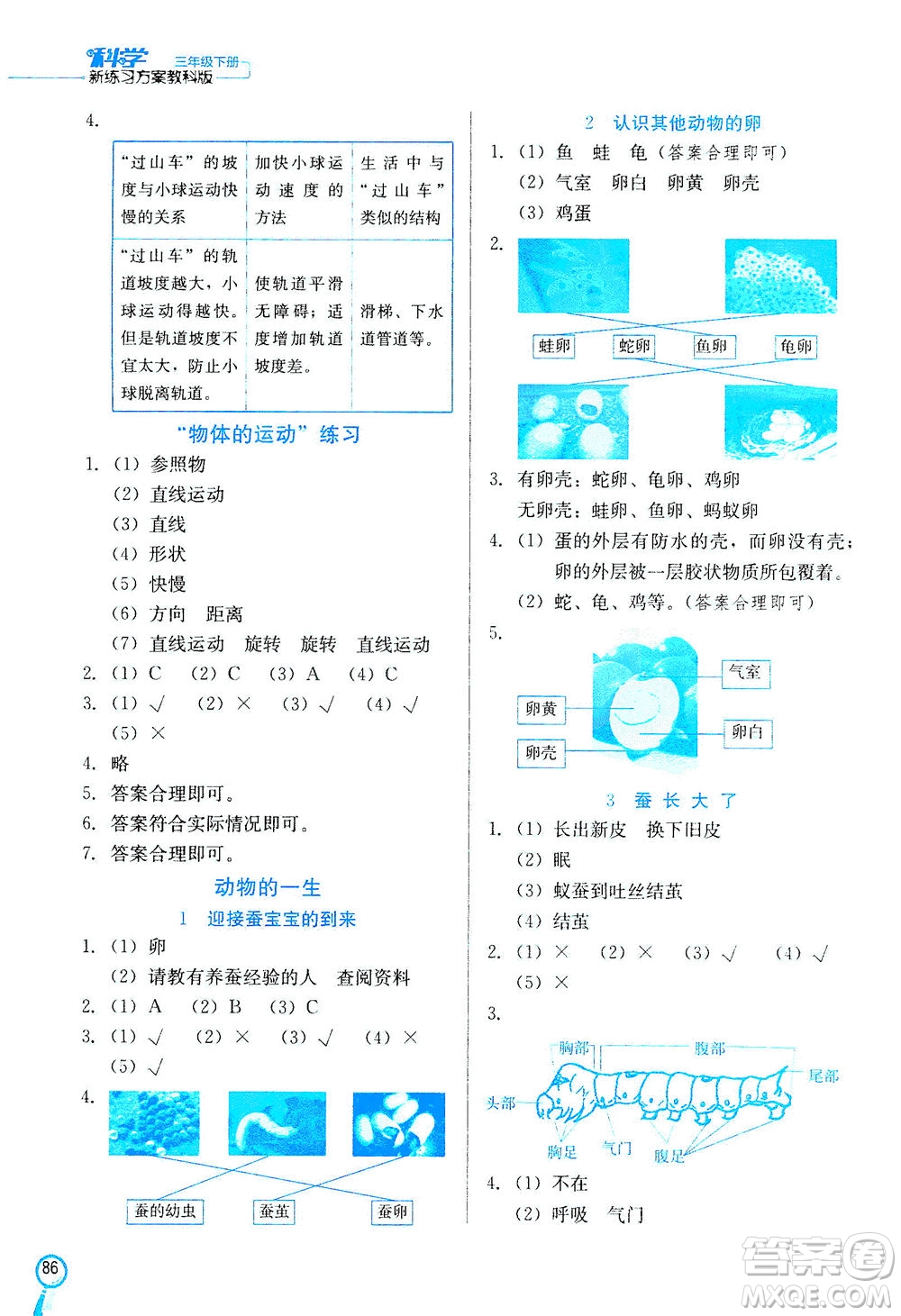 河北美術(shù)出版社2021新練習(xí)方案科學(xué)三年級(jí)下冊JK教科版答案