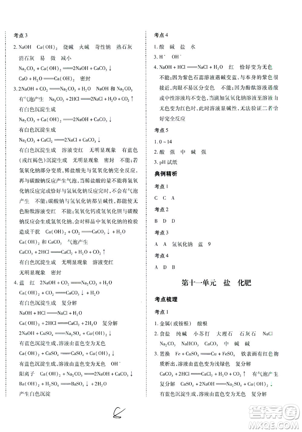 延邊教育出版社2021本土攻略精準復習方案九年級化學下冊人教版云南專版答案