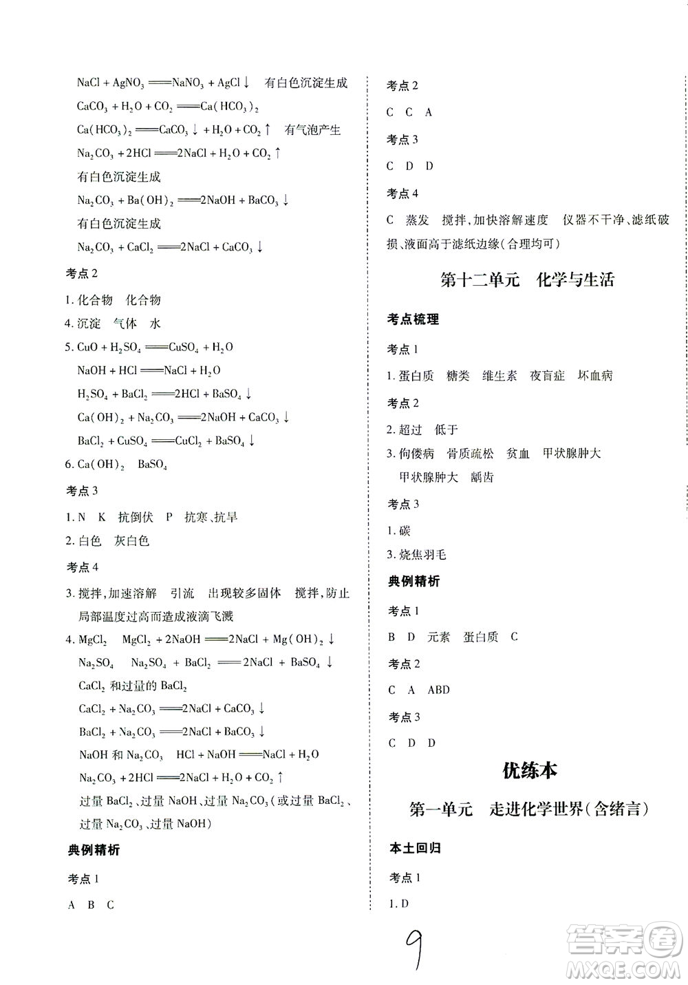 延邊教育出版社2021本土攻略精準復習方案九年級化學下冊人教版云南專版答案