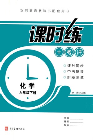 河北美術(shù)出版社2021課時練+考評九年級化學下冊人教版答案