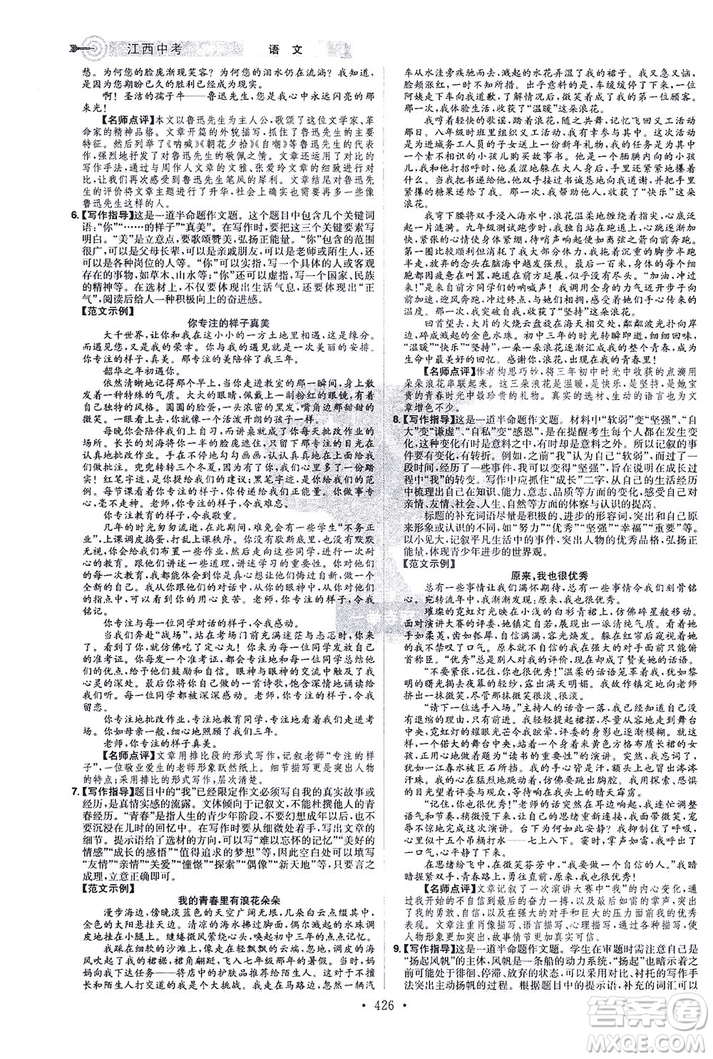 江西美術(shù)出版社2021追擊中考九年級語文下冊江西專版答案