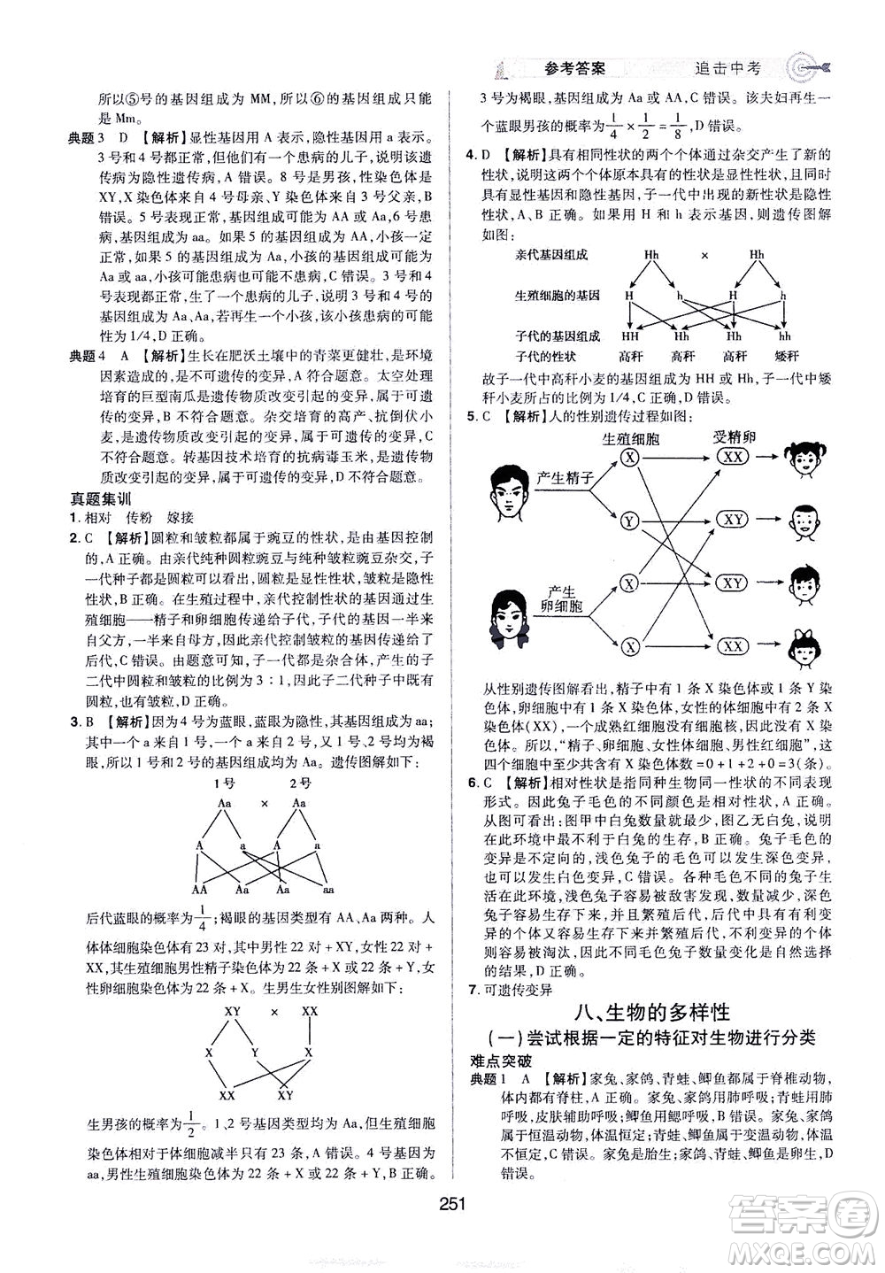 江西美術(shù)出版社2021追擊中考九年級生物下冊江西專版答案