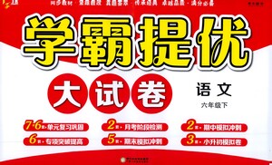 寧夏人民教育出版社2021經(jīng)綸學(xué)典學(xué)霸提優(yōu)大試卷六年級下冊語文參考答案