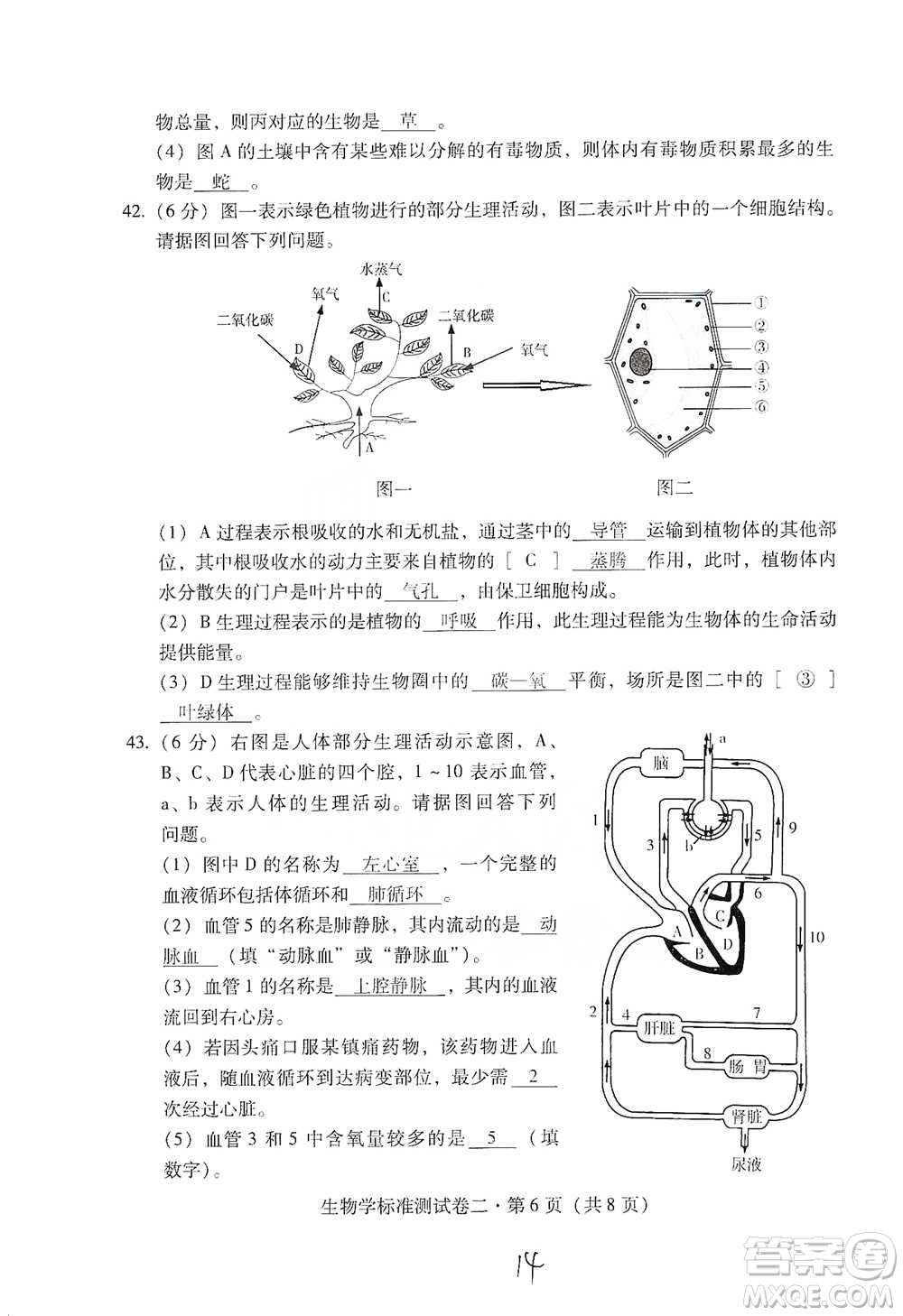 云南教育出版社2021優(yōu)佳學(xué)案云南省初中學(xué)業(yè)水平考試標(biāo)準(zhǔn)測試卷生物學(xué)參考答案