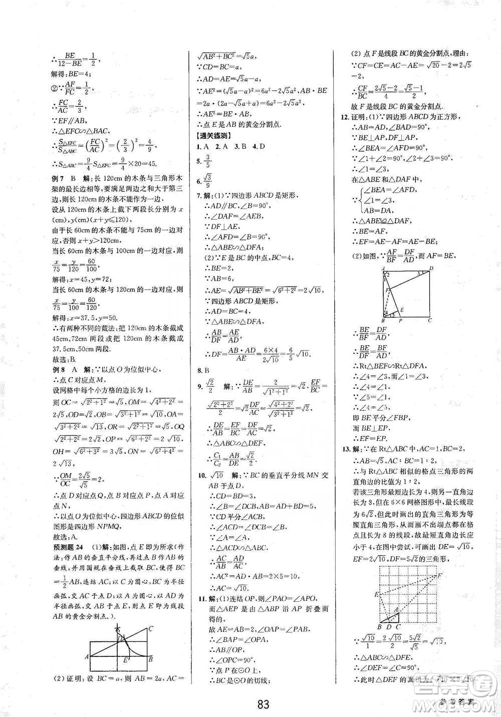 天津科學(xué)技術(shù)出版社2021初中新學(xué)案優(yōu)化與提高數(shù)學(xué)中考總復(fù)習(xí)參考答案