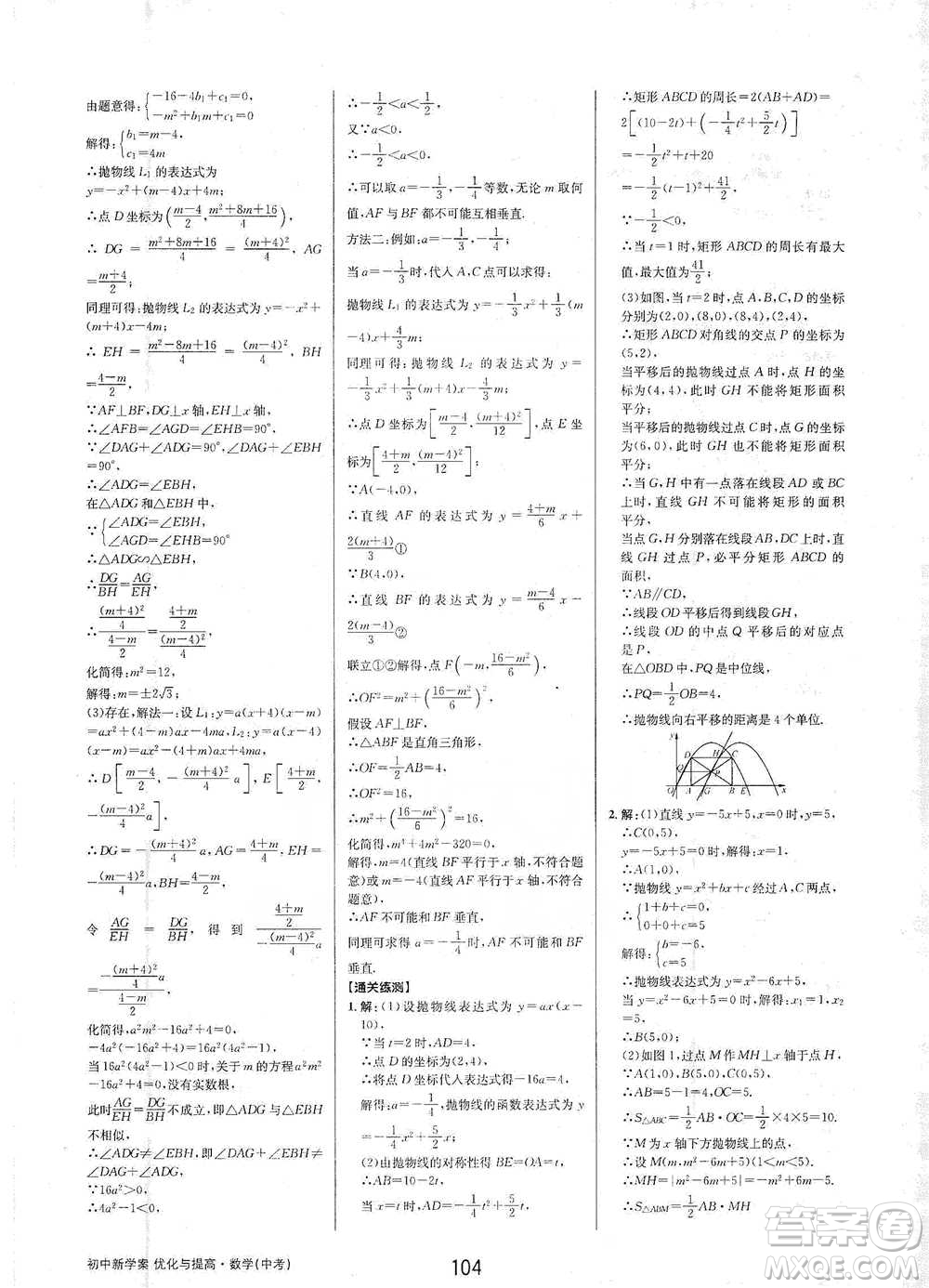 天津科學(xué)技術(shù)出版社2021初中新學(xué)案優(yōu)化與提高數(shù)學(xué)中考總復(fù)習(xí)參考答案