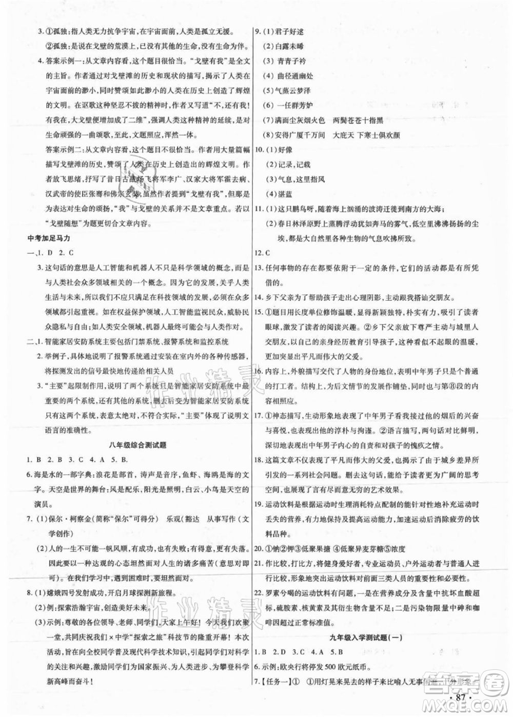 吉林教育出版社2021教材首選銜接教材年度復(fù)習(xí)八年級語文部編版答案