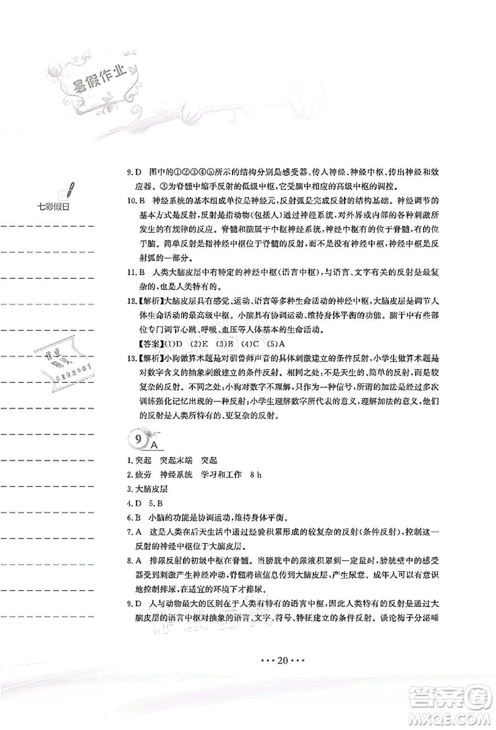 安徽教育出版社2021暑假作業(yè)七年級生物北師大版答案