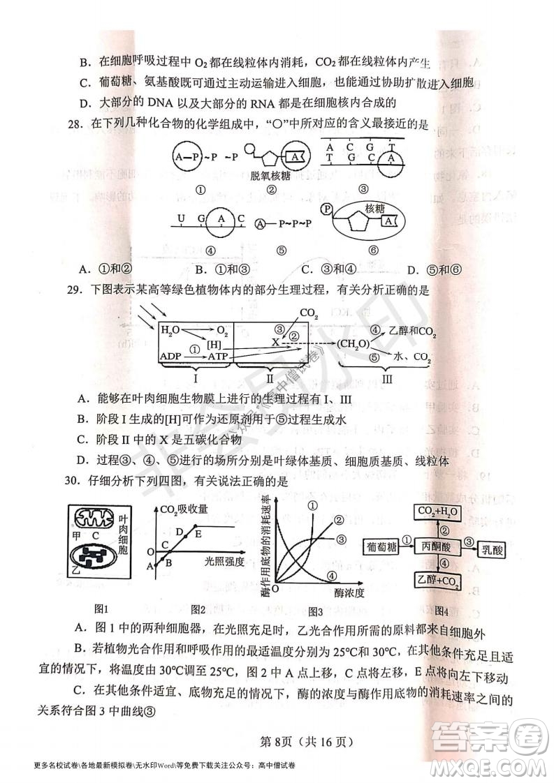 河南省鄭州外國(guó)語(yǔ)學(xué)校2021-2022學(xué)年高三開(kāi)學(xué)摸底測(cè)試生物試題及答案