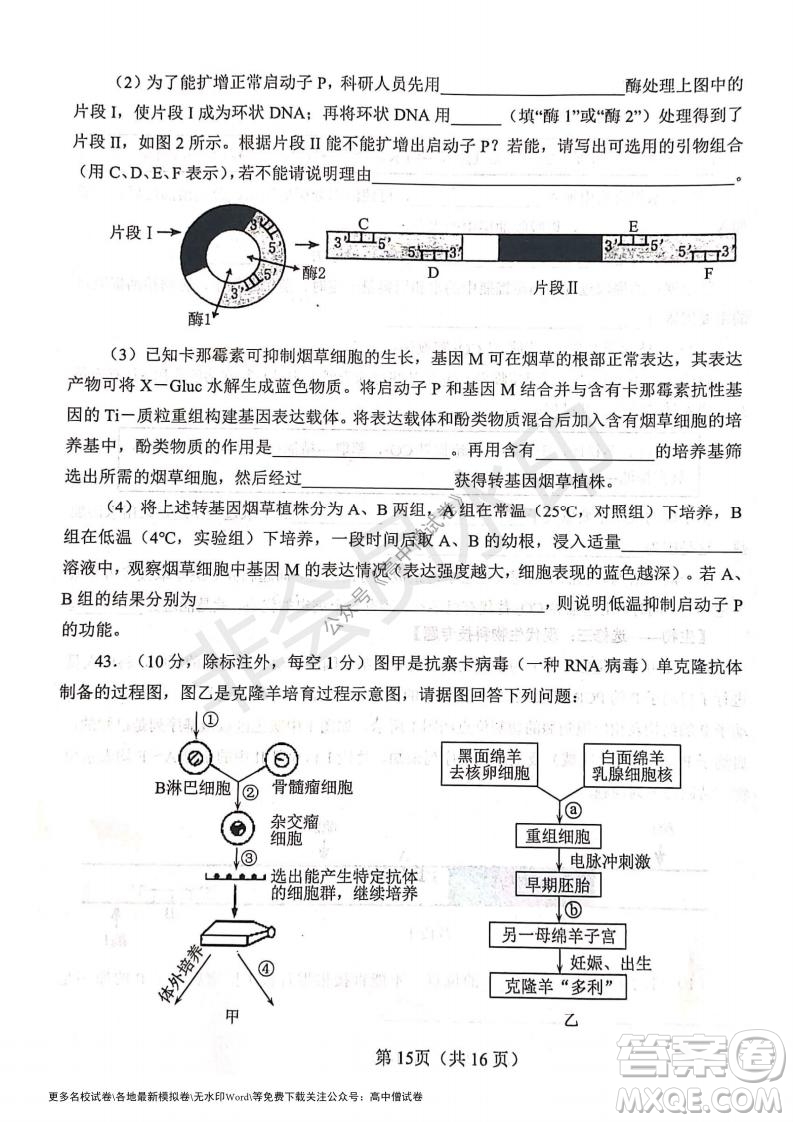 河南省鄭州外國(guó)語(yǔ)學(xué)校2021-2022學(xué)年高三開(kāi)學(xué)摸底測(cè)試生物試題及答案