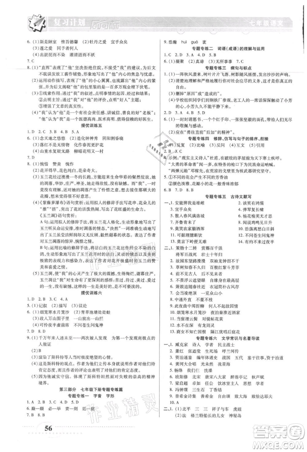 陽(yáng)光出版社2021復(fù)習(xí)計(jì)劃風(fēng)向標(biāo)期末暑假銜接七年級(jí)語(yǔ)文參考答案