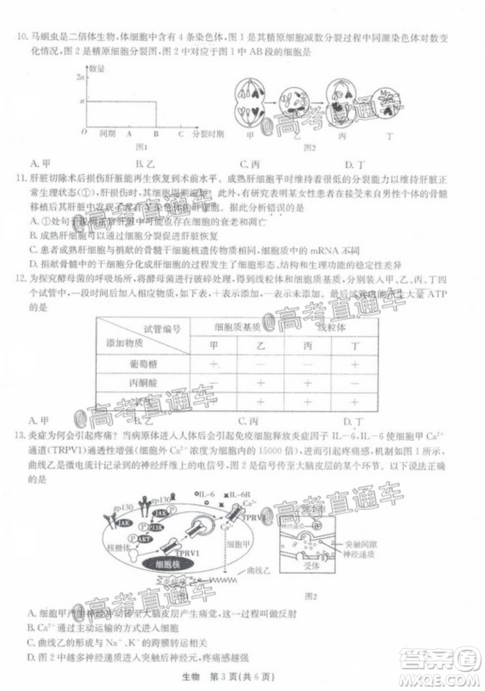 廣東省2022屆高三8月階段性質(zhì)量檢測(cè)生物試題及答案