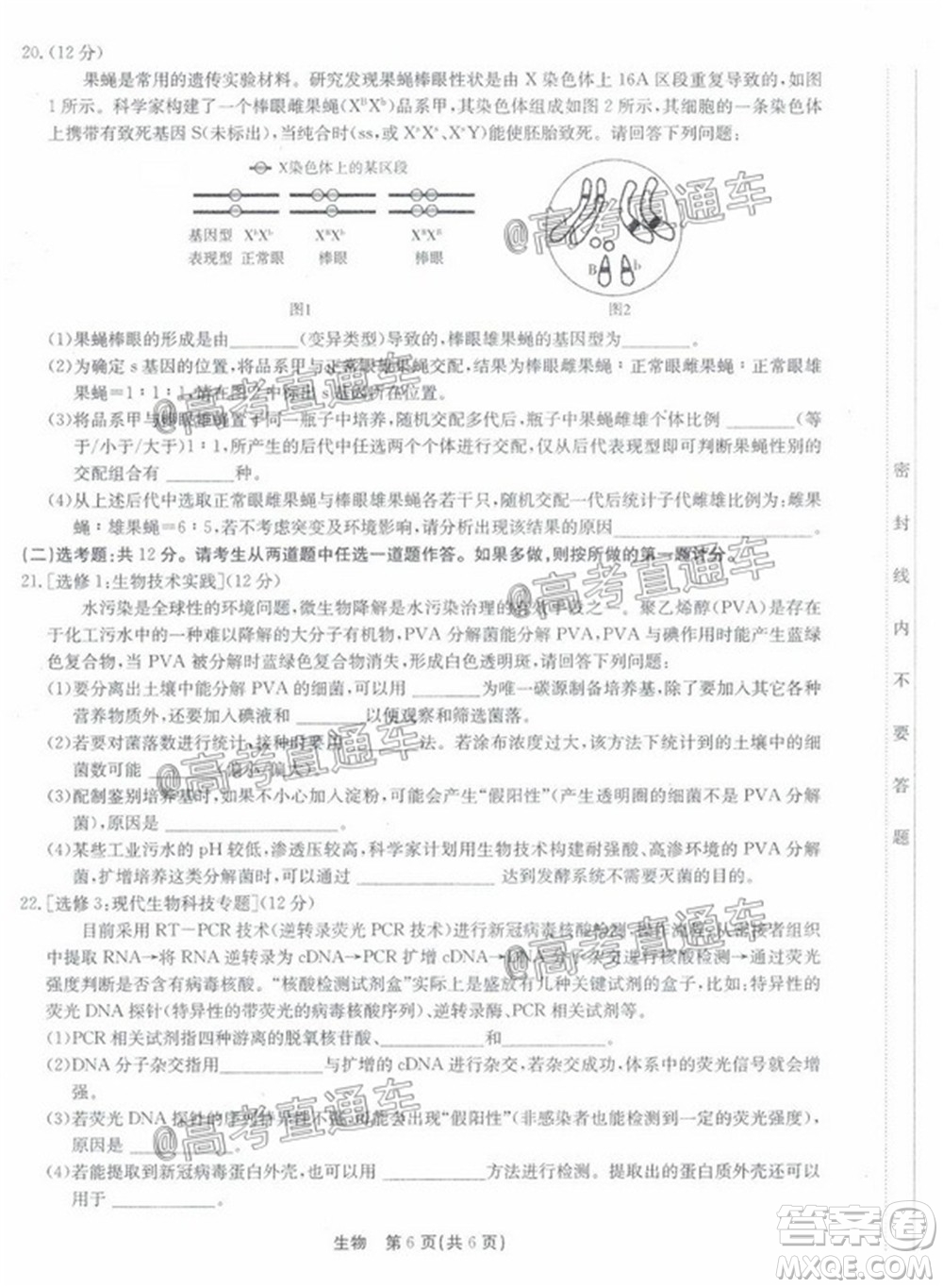 廣東省2022屆高三8月階段性質(zhì)量檢測(cè)生物試題及答案