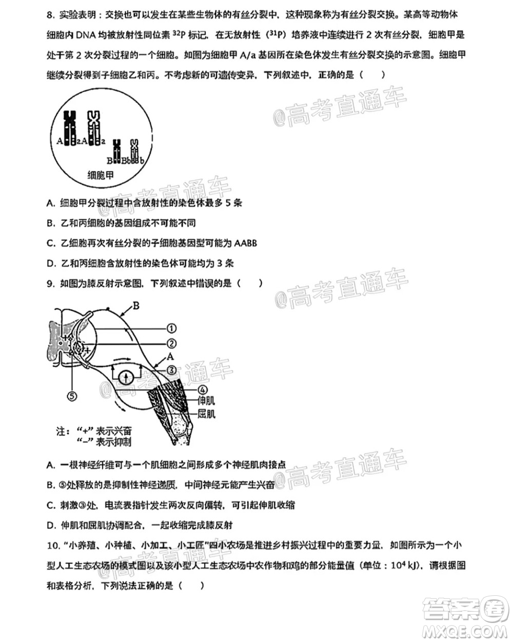 河北五校聯(lián)盟2022屆新高三摸底考試生物試題及答案