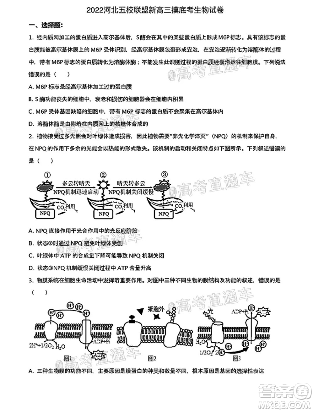 河北五校聯(lián)盟2022屆新高三摸底考試生物試題及答案