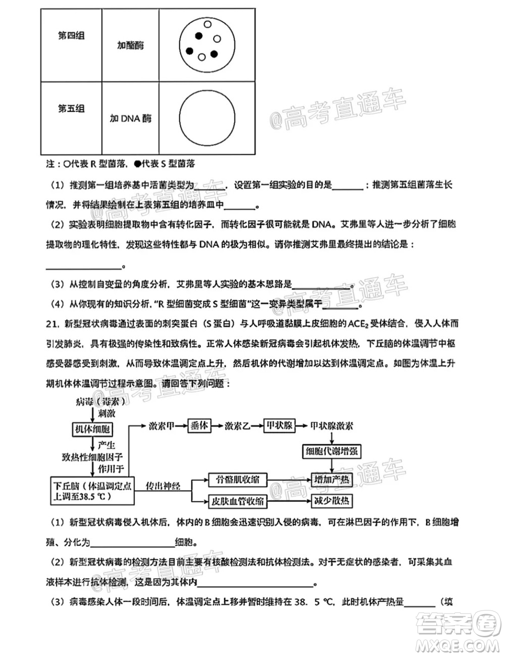 河北五校聯(lián)盟2022屆新高三摸底考試生物試題及答案