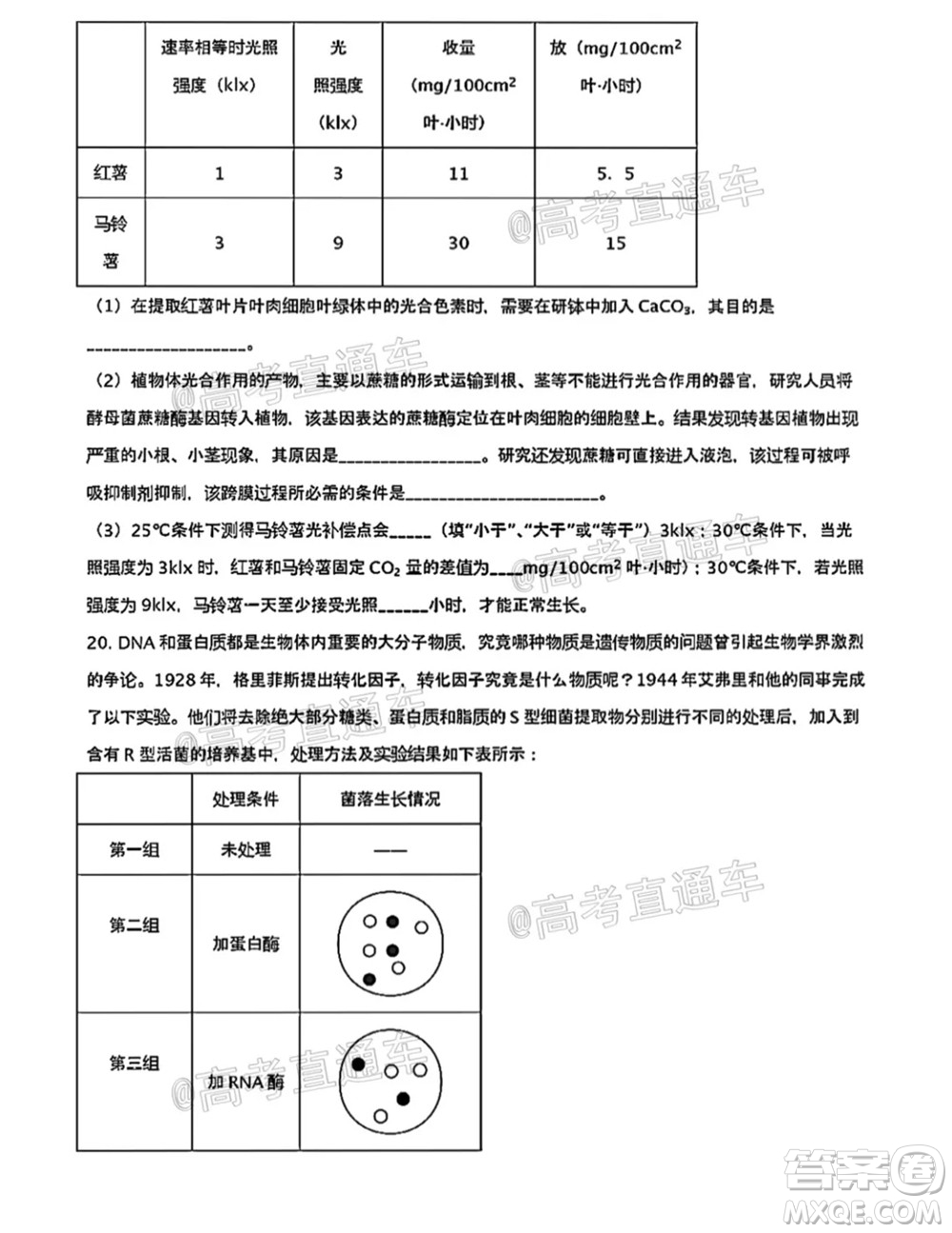 河北五校聯(lián)盟2022屆新高三摸底考試生物試題及答案