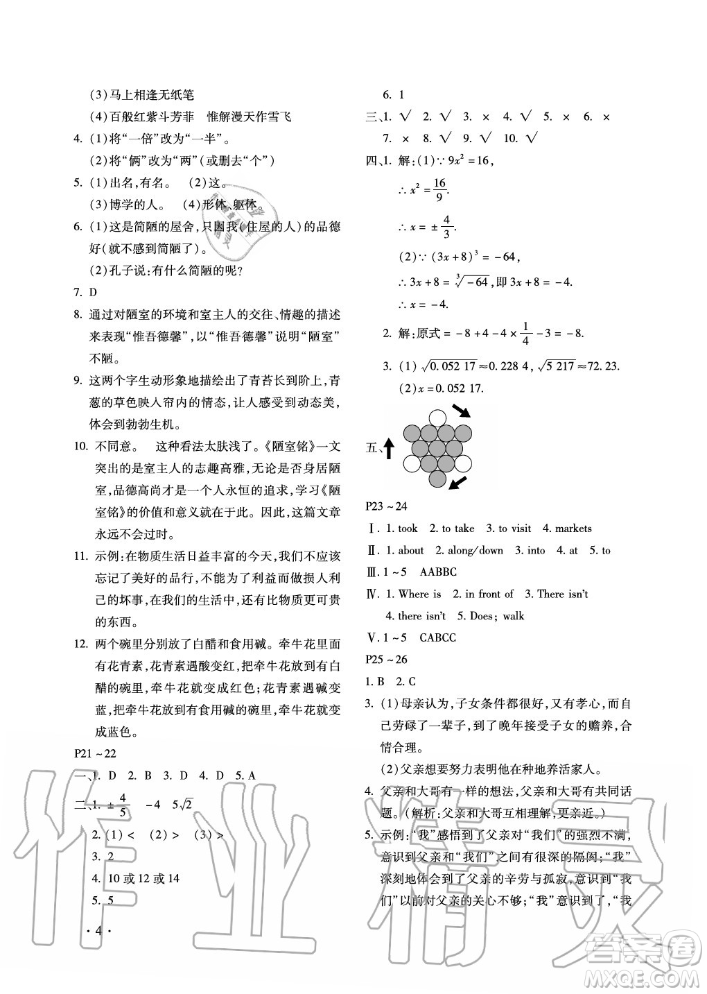 北京教育出版社2021新課標(biāo)假期樂(lè)園暑假七年級(jí)合訂本河南專(zhuān)版答案