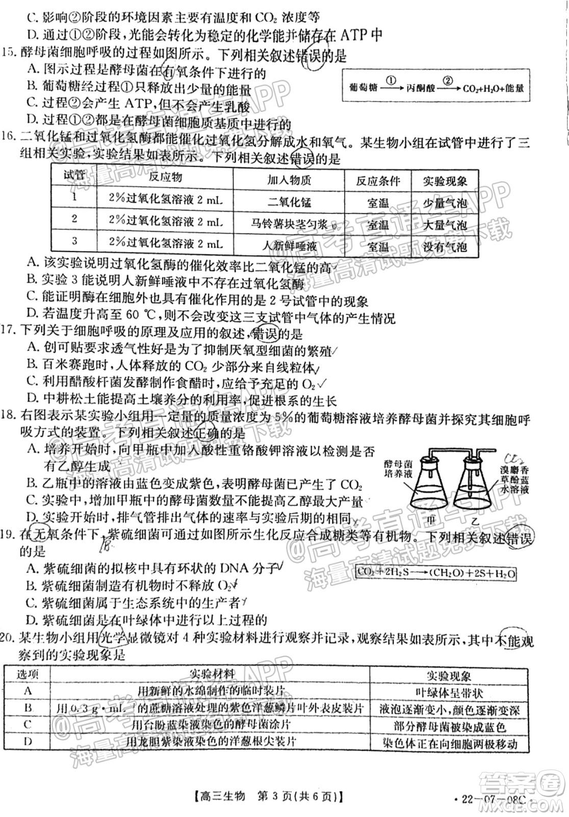 2022屆貴州金太陽(yáng)聯(lián)考高三生物試題及答案