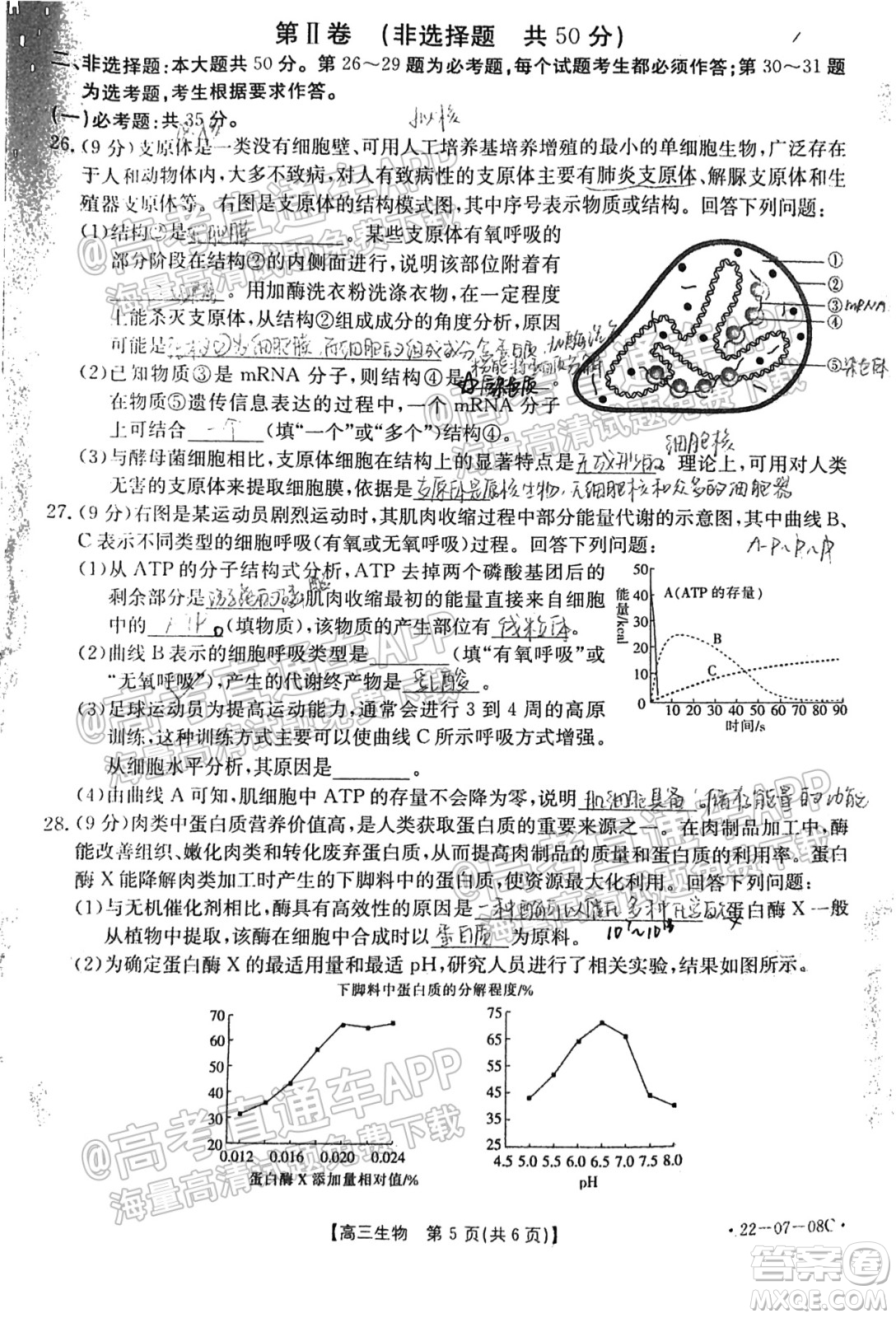 2022屆貴州金太陽(yáng)聯(lián)考高三生物試題及答案