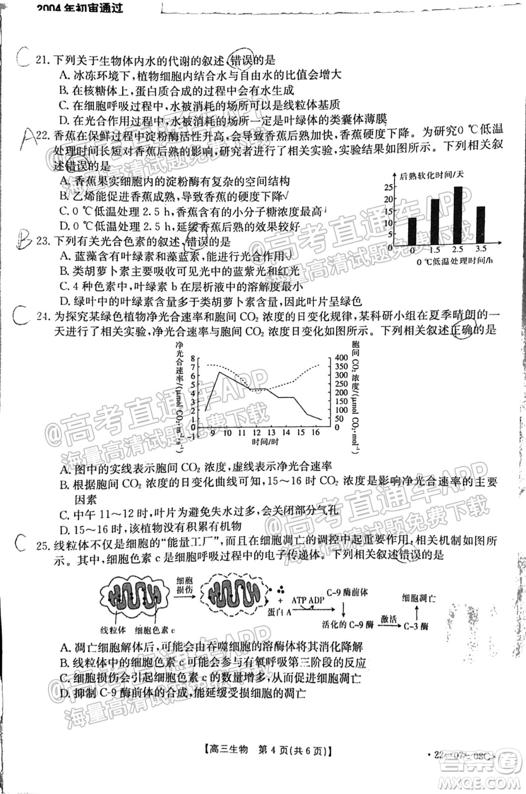 2022屆貴州金太陽(yáng)聯(lián)考高三生物試題及答案