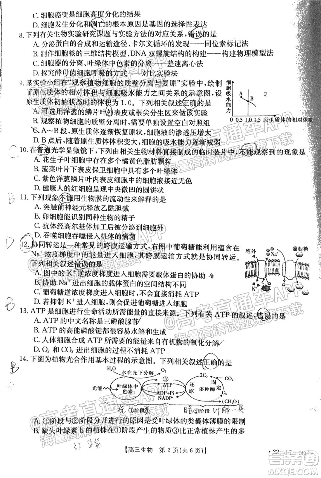 2022屆貴州金太陽(yáng)聯(lián)考高三生物試題及答案