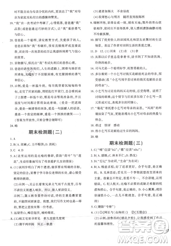 濟南出版社2021黃岡360定制密卷語文七年級上冊RJ人教版答案