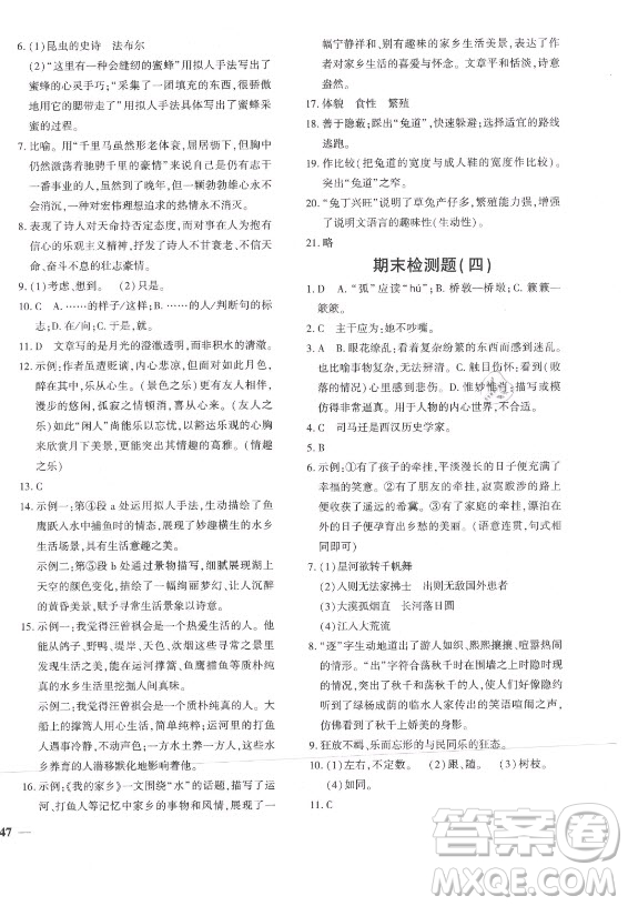 濟(jì)南出版社2021黃岡360定制密卷語(yǔ)文八年級(jí)上冊(cè)RJ人教版答案