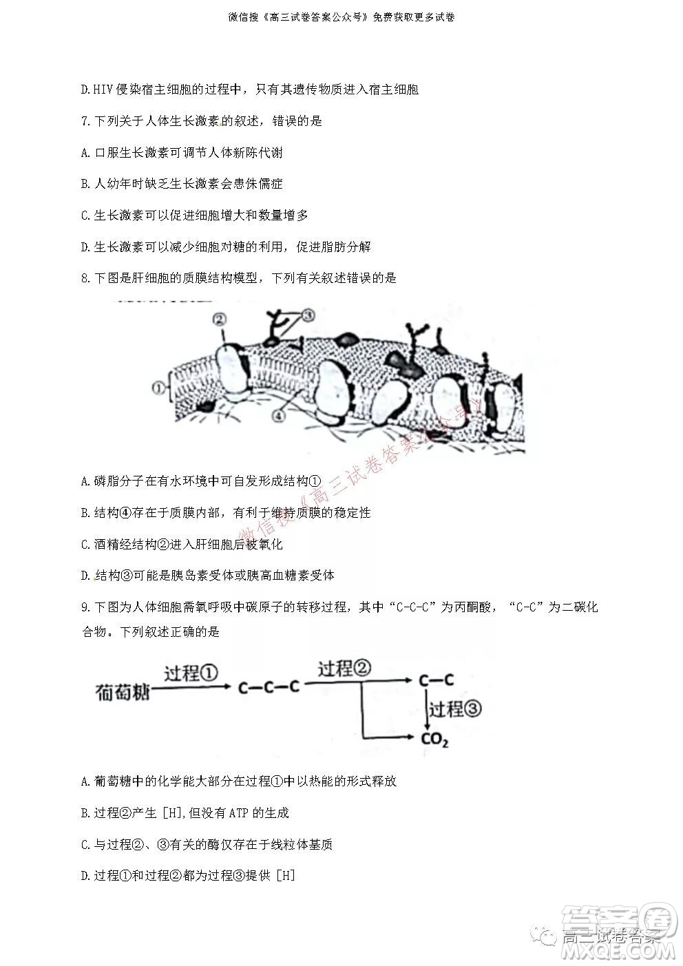 浙江省Z20名校聯(lián)盟2022屆高三第一次聯(lián)考生物試卷及答案