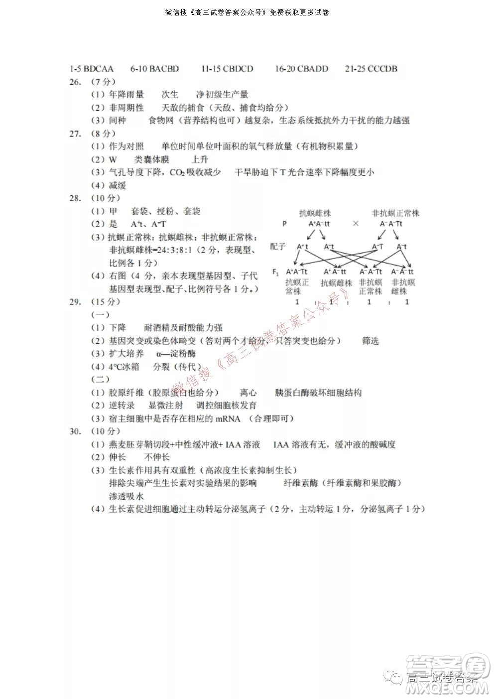 浙江省Z20名校聯(lián)盟2022屆高三第一次聯(lián)考生物試卷及答案