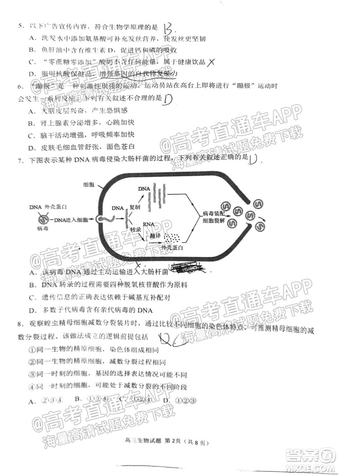 泉州市2022屆高中畢業(yè)班質(zhì)量監(jiān)測一高三生物試題及答案