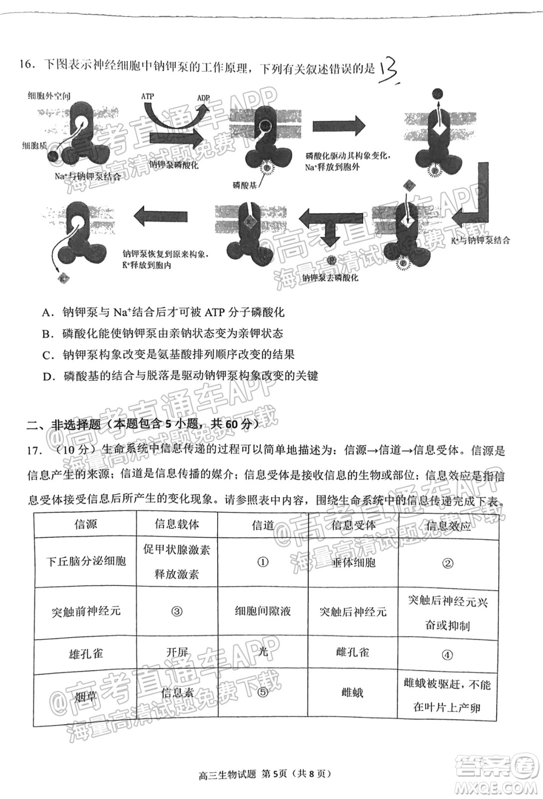 泉州市2022屆高中畢業(yè)班質(zhì)量監(jiān)測一高三生物試題及答案