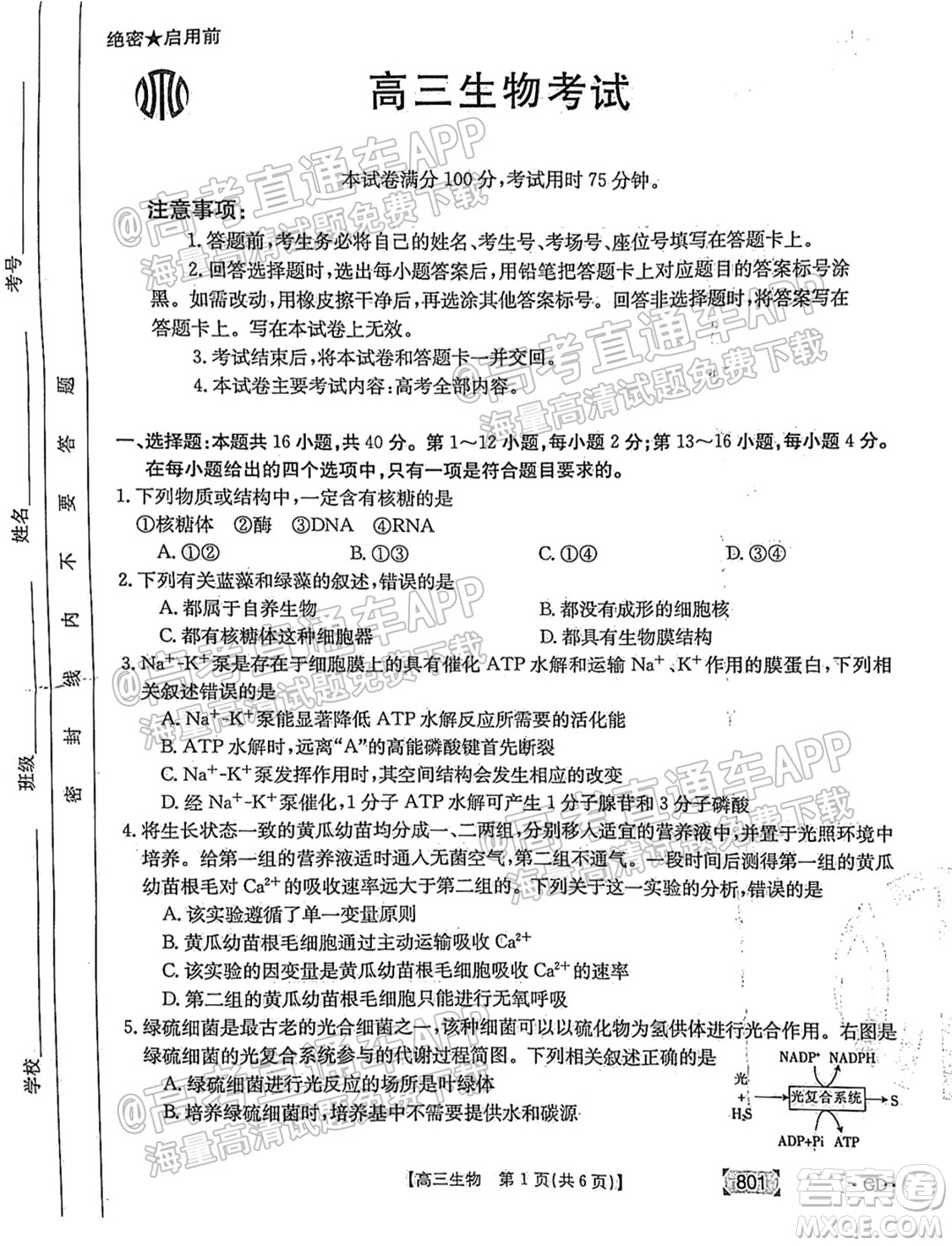 2022屆廣東高三8月金太陽聯(lián)考生物試題及答案