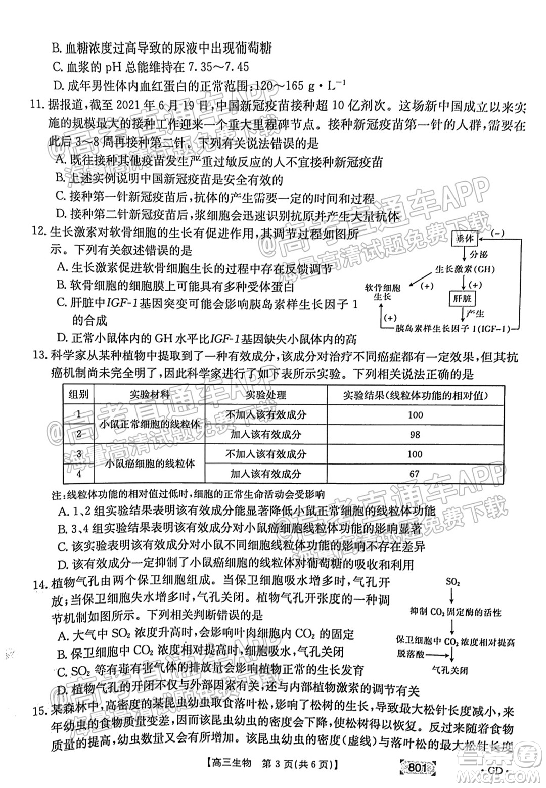 2022屆廣東高三8月金太陽聯(lián)考生物試題及答案