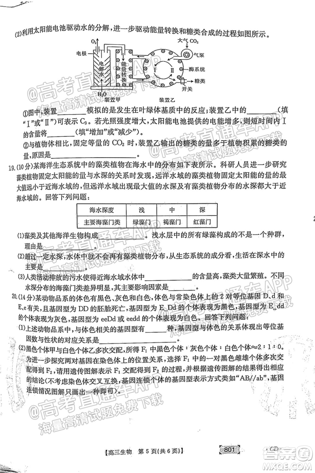 2022屆廣東高三8月金太陽聯(lián)考生物試題及答案