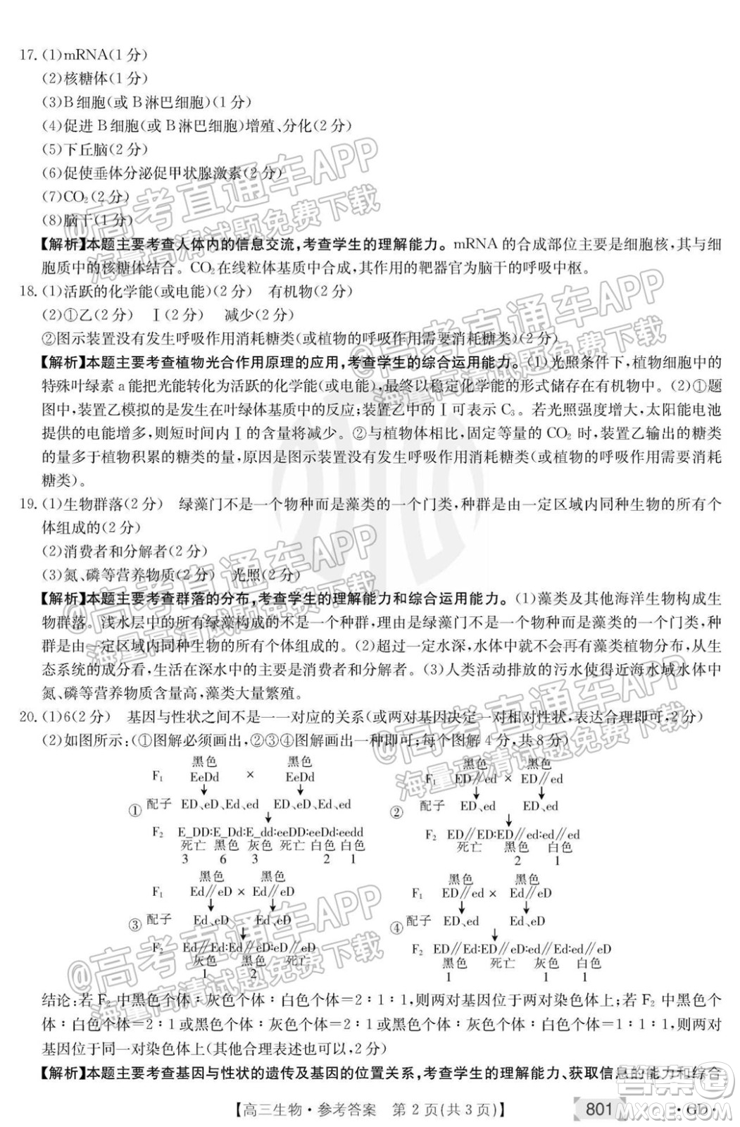 2022屆廣東高三8月金太陽聯(lián)考生物試題及答案