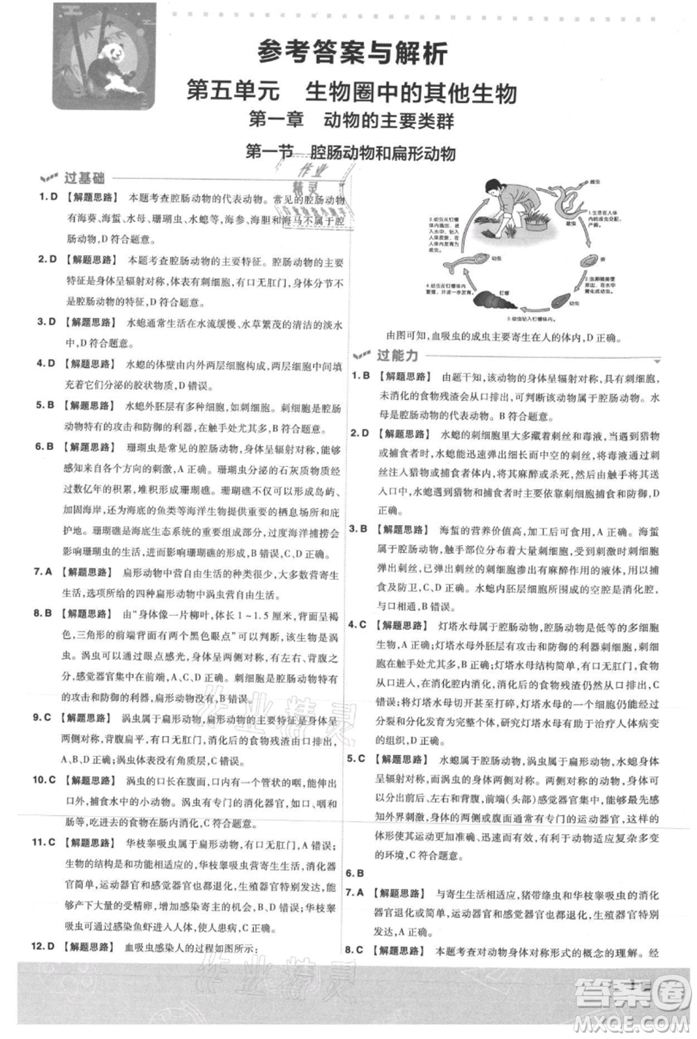 南京師范大學(xué)出版社2021一遍過八年級上冊生物人教版參考答案