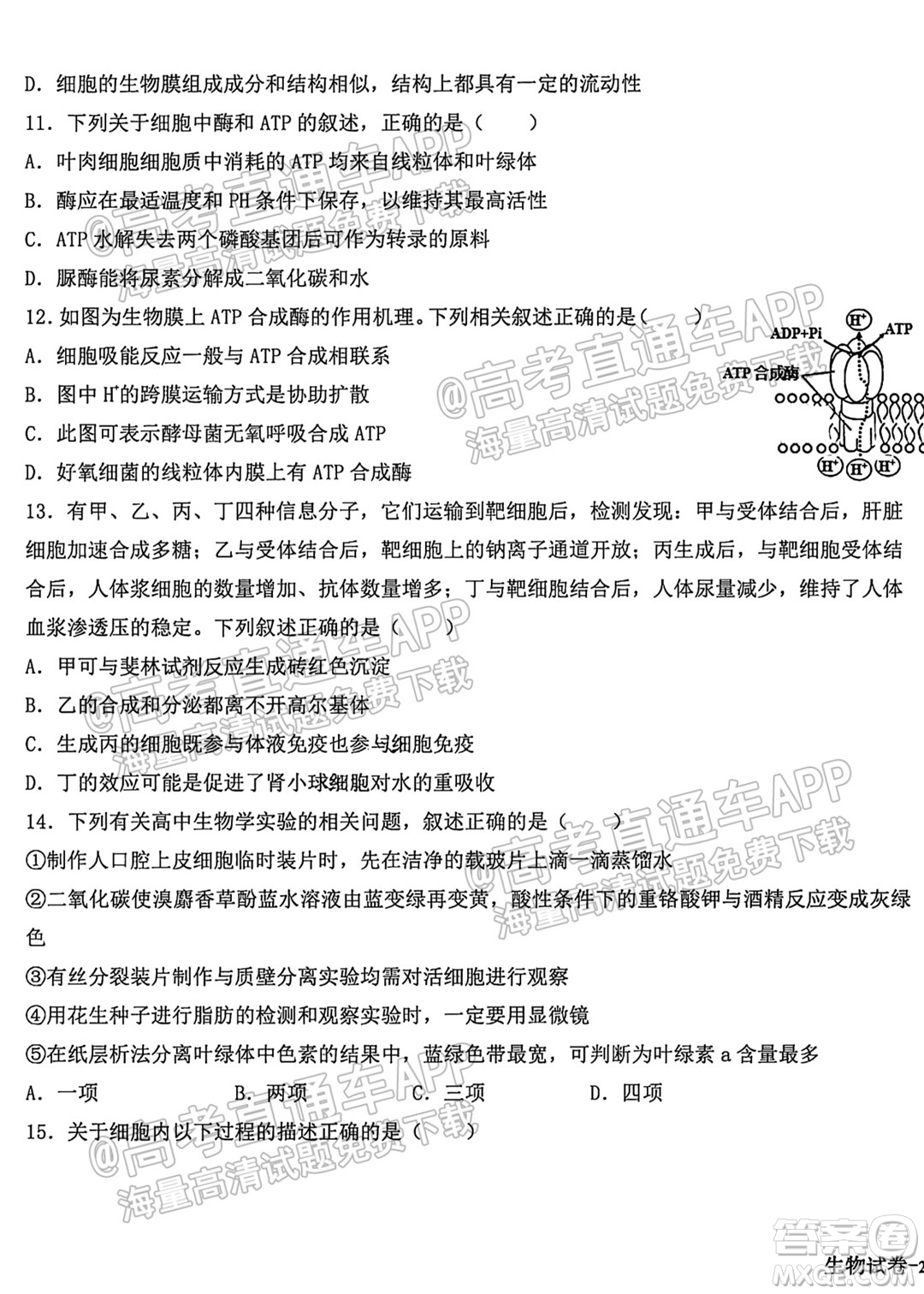 哈爾濱市第九中學(xué)校2021-2022學(xué)年度上學(xué)期適應(yīng)性考試高三生物試題答案