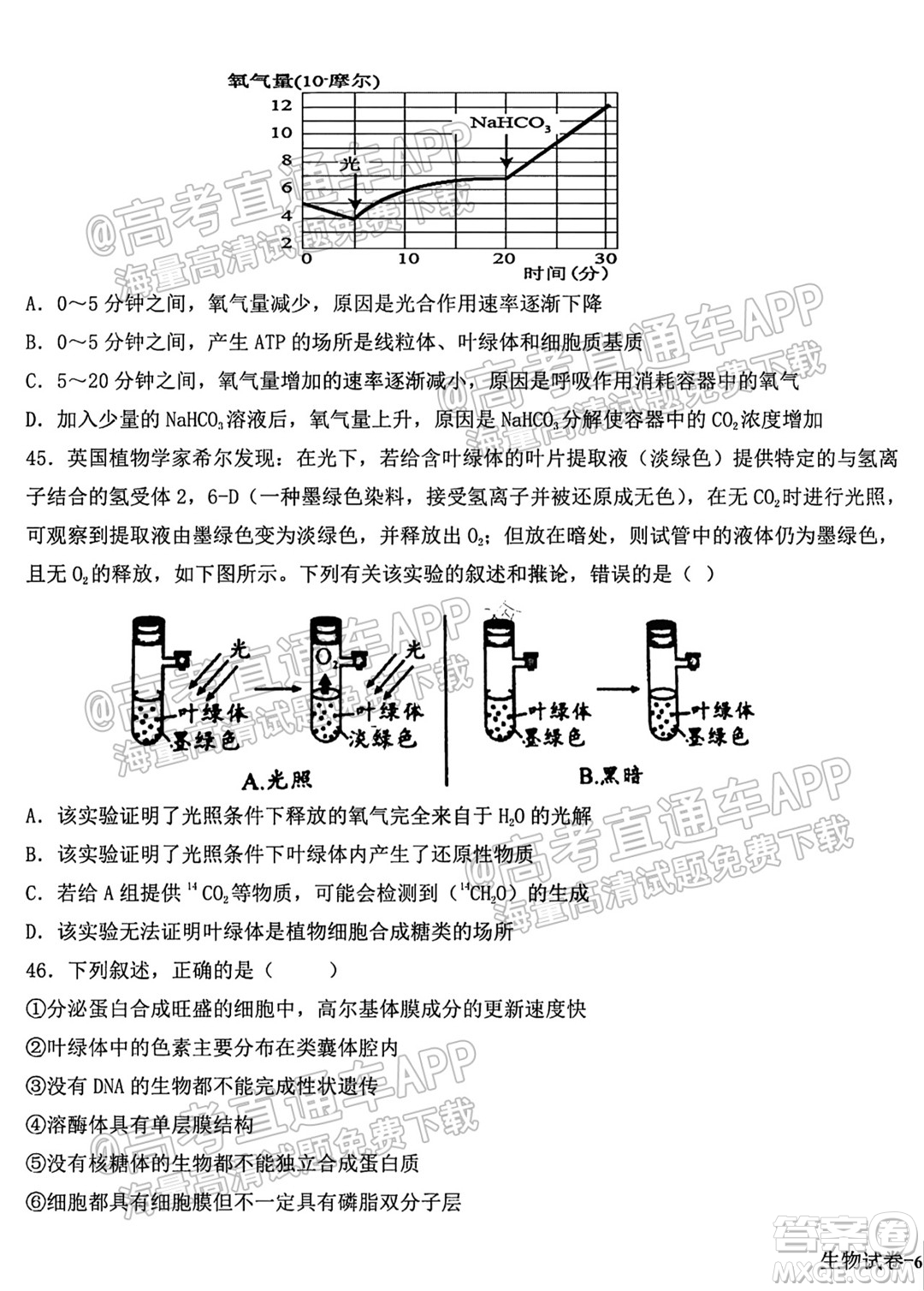 哈爾濱市第九中學(xué)校2021-2022學(xué)年度上學(xué)期適應(yīng)性考試高三生物試題答案