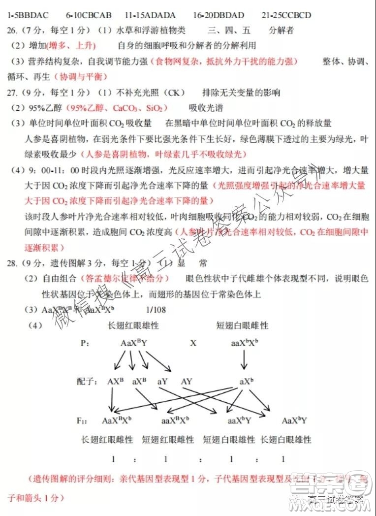 2021學(xué)年第一學(xué)期浙江省七彩陽光新高考研究聯(lián)盟返校考生物試題及答案