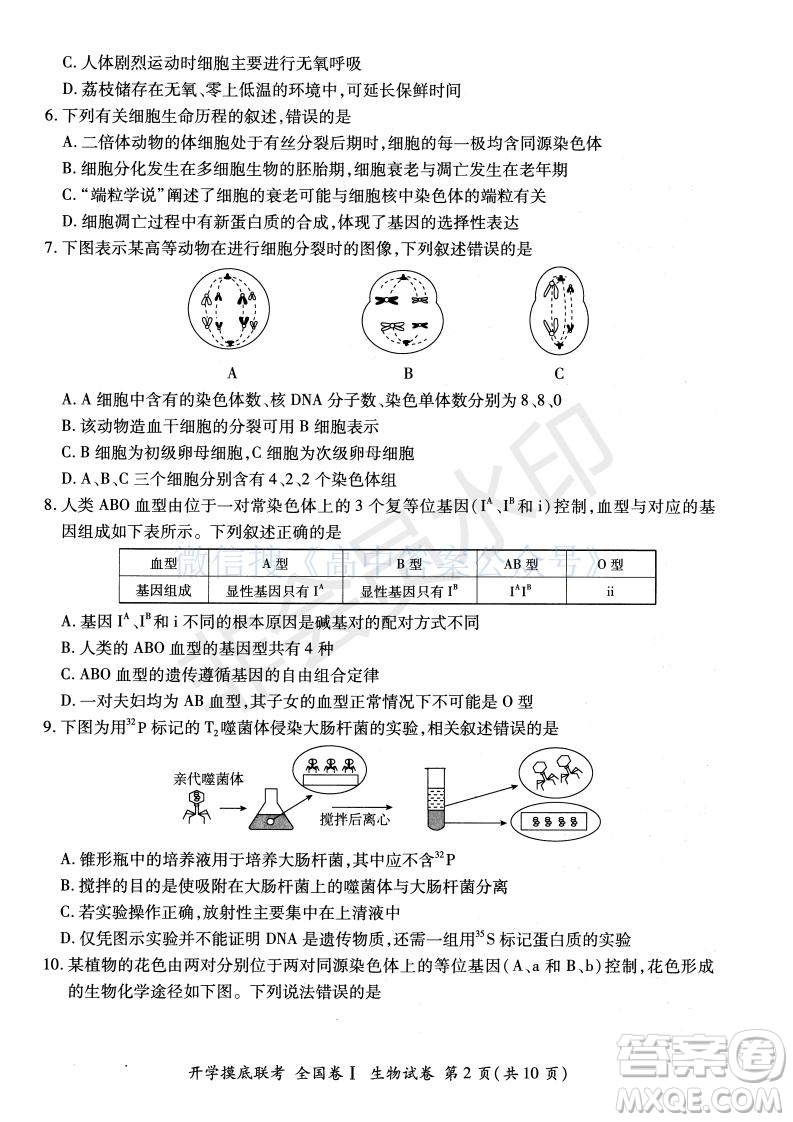 百師聯(lián)盟2022屆高三開學摸底聯(lián)考全國卷生物試卷及答案