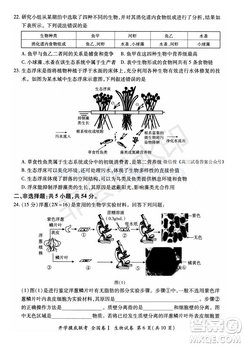 百師聯(lián)盟2022屆高三開學摸底聯(lián)考全國卷生物試卷及答案