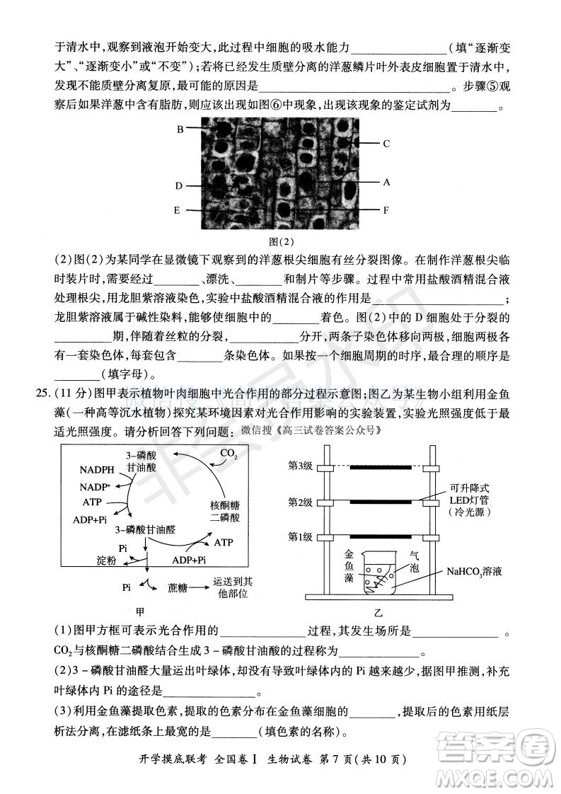 百師聯(lián)盟2022屆高三開學摸底聯(lián)考全國卷生物試卷及答案