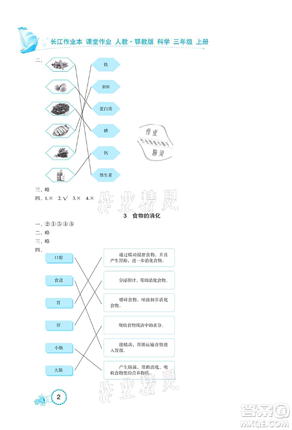 湖北教育出版社2021長江作業(yè)本課堂作業(yè)三年級科學上冊人教鄂教版答案