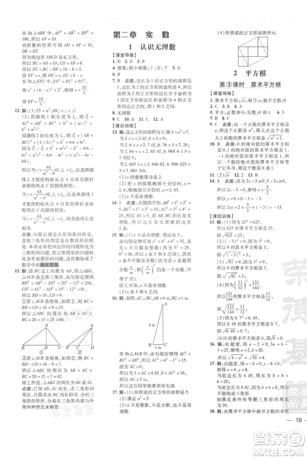 安徽教育出版社2021點(diǎn)撥訓(xùn)練課時(shí)作業(yè)本八年級(jí)上冊(cè)數(shù)學(xué)北師大版參考答案