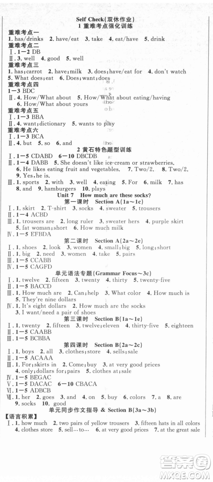 新世紀(jì)出版社2021課時奪冠英語七年級上冊R人教版黃石專版答案