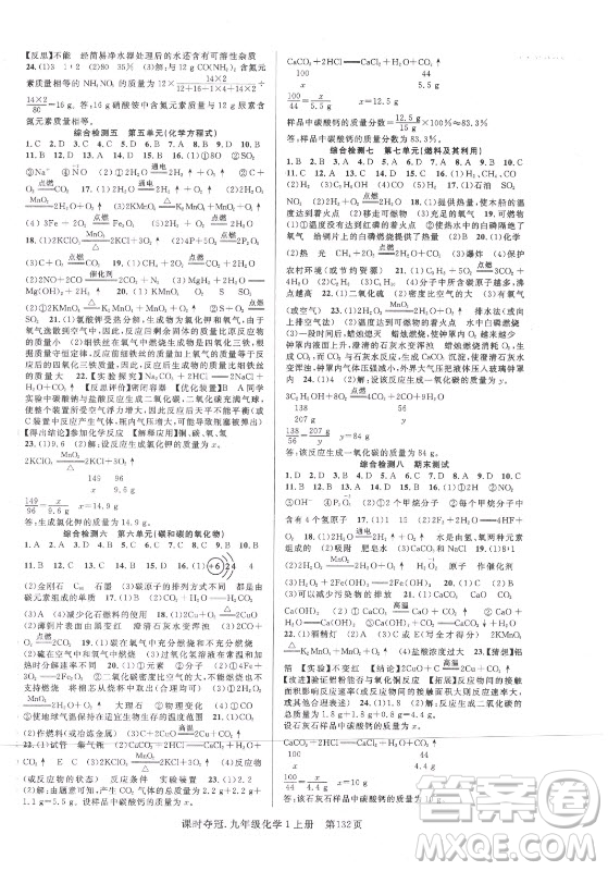 新世紀(jì)出版社2021課時奪冠化學(xué)九年級上冊R人教版答案