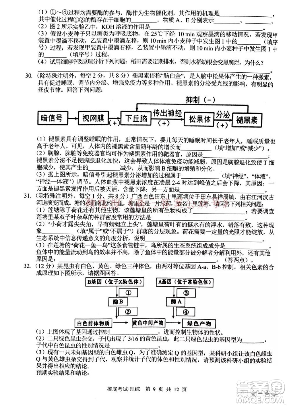 2022屆廣西普通高校摸底考試理科綜合試題及答案